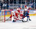 Bild: Elke Englmaier
Cedric Schiemenz (blaues Trikot) von den Blue Devils Weiden versucht, sich gegen eine Übermacht an Landshuter Gegenspielern zu behaupten.