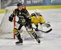 Archivbild: Hubert Ziegler
Neuzugang Nolan Gardiner soll für die nötigen Tore beim Saisonauftakt des ERSC Amberg gegen den ERV Schweinfurt sorgen.