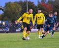 Bild: Loeffler, Jonas
Friedrich Lieder (links/Szene aus dem Spiel gegen 1860) und der FC Amberg sind Herbstmeister in der Fußball-Bezirksliga Nord.