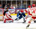 Bild: Elke Englmaier
Szenen aus dem Spiel in der DEL2 zwischen den Blue Devils Weiden und dem EV Landshut am Freitag, 10. Oktober 2025. Die Gästen gewannen mit 4:2.