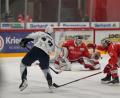 Bild: A. Chuc
Constantin Vogt von den Blue Devils Weiden prüft in dieser Situation den Goalie des EC Bad Nauheim Jerry Kuhn. Die Weidener gewannen das Spiel am Sonntag nach einer unfassbaren Aufholjagd in letzter Sekunde mit 5:4.