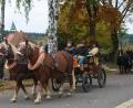 Bild: wro
Blickfang beim Wendelinsritt war die von Seppl und Sam gezogene Kutsche vom Stich'n-Hof der Familie Brunner in Plößberg bei Immenreuth. Die 9- und 10-jährigen Süddeutschen Kaltblütler waren zum 4. Mal dabei.