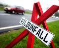 Symbolbild: Hauke-Christian Dittrich/dpa
Bei Greßmühle hat es einen Wildunfall gegeben: Ein Rehbock ist hier vor einem Motorradfahrer auf die Straße gesprungen.