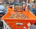 Bild: Franz Scharf, Stadt Schwandorf
Der Schwandorfer Bauhof hat rund 46.000 Blumenzwiebeln auf einer Fläche von 374 Quadratmetern in Grünanlagen gepflanzt.