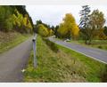 Bild: bkr
Einen Tag nach der Gemeinderatssitzung wurde mit den Vermessungsarbeiten für die geplanten Veränderungen am Radweg (links) begonnen. Das grüne Kreuz dort markiert den Punkt, ab dem der Radweg zu der Straße nach Witzlasreuth abgesenkt werden soll.