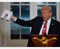 Bild: John McDonnell/AP/dpa
Trump stellte bei einem Spendendinner ein Modell für einen Triumphbogen in der US-Hauptstadt Washington vor.