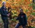 Bild: prh
Die Roteiche ist der Baum des Jahres 2025. Forstdirektor Gerhard Hösl und Revierleiter Andreas Arnold zeigen die herbstlich gefärbten Blätter an einem Exemplar im Neustädter Stadtwald oberhalb der Windschnur.