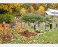 Bild: no
Herbstliche Stimmung auf dem Waldfriedhof in Illschwang. Auf Beschluss des Gemeinderats Illschwang werden die Gebühren für die verschiedenen Grabstellen und für die Stelenkammern, auch auf dem Friedhof in Bachetsfeld, zum 1. November 2025 angepasst.