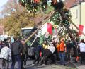 Bild: Hirsch
Zum Baumaufstellen fanden sich am Samstag wieder zahlreiche Helfer auf dem Fronberger Dorfplatz ein.