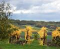 Bild: Karl-Josef Hildenbrand/dpa
Wolken trüben den goldenen Herbst in Bayern in den kommenden Tagen.