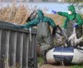 Bild: Matthias Bein/dpa
In Ostdeutschland werden derzeit vermehrt tote Kraniche gefunden. Sie sind Opfer der gefürchteten Vogelgrippe geworden. (Archivbild)
