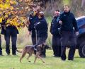 Bild: Christophe Gateau/dpa
Die Polizei sucht weiterhin nach der vermissten Rebecca.