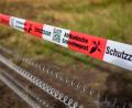 Symbolbild: Christoph Schmidt/dpa
Die Ausbreitung der Afrikanischen Schweinepest will der Landkreis Tirschenreuth weiterhin mit der Zahlung von Prämien für das Erlegen von Frischlingen verhindern: Die Wildschweinpopulation ist im Vergleich zum Vorjahr deutlich angestiegen.