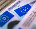 Bild: Sina Schuldt/dpa
Beim Führerschein steht eine EU-weite Reform an. (Symbolbild)