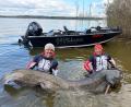 Bild: Polska Akademia Wedkarska/dpa
Zwei Angler in Polen haben einen fast drei Meter langen Wels gefangen. (Foto Handout)