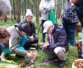 Bild: Dorina Kett
Pilzsachverständiger Stefan Hartwig bei der Überprüfung verschiedener Pilze.