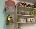 Bild: san
Neugierig lugt der Plüschfrosch aus seinem angestammten Platz im Hängeregal hervor und wartet darauf, geknuddelt zu werden: Liebevoll hat das Don-Bosco-Team der Ensdorfer Kindergruppe das Spielzimmer eingerichtet.