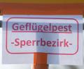 Bild: Armin Weigel/dpa
Auch bayerische Behörden warnen vor der Vogelgrippe. (Symbolbild)
