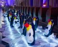 Bild: Gabi Schönberger
In der Josefskirche warteten Pinguine auf die Besucher.