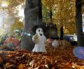 Bild: Felix Hörhager/dpa
Halloween-Atmosphäre in München: Bavaria Filmstadt verwandelt sich zur Spooky Tour