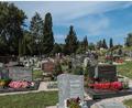 Archivbild: Wolfgang Steinbacher
Auf dem Katharinenfriedhof waren Grabschänder am Werk.