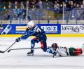 Bild: Tobias Neubert
Luca Gläser (links) ließ diese Großchance für die Blue Devils Weiden liegen. Gegen die Starbulls Rosenheim gab es eine klare Heimniederlage.