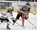 Bild: Hubert Ziegler
Der EHC Waldkraiburg setzte sich in der Eishockey-Bayernliga mit einem klaren 8:1 gegen den ERSC Amberg durch.