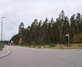 Bild: bö
Der Wald an der Mercedesstraße im Gewerbegebiet Schafhof muss noch weg, dann kann dann Logistikzentrum gebaut werden.
