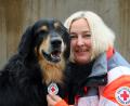 Bild: dob
"Lennox", der siebenjährige Hovawart, ist nun ein geprüfter BRK-Mantrailer. Rettungshunde-Staffelleiterin Melanie Dirscherl ist sein Kompass.