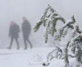 Bild: Matthias Bein/dpa
In den Mittelgebirgen wie dem Harz wird am Mittwoch Neuschnee erwartet.