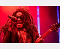 Bild: Torben Christensen/Ritzau Scanpix Foto/AP/dpa
Zwischendurch trug er die Haare auch kurz, doch momentan gehören Dreadlocks fest zum Look von US-Rocker Lenny Kravitz dazu. (Archivbild)