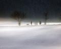 Bild: Karl-Josef Hildenbrand/dpa
Nebel und Schnee wird vom Wetterdienst vorhergesagt.