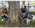 Bild: lnz
Tobias Wenisch (links), Edgar Wenisch und Gehölzpathogen-Spürhund Jim an einer stattlichen Rosskastanie im Ortskern von Konnersreuth: Dieser Baum ist im Laufe der Jahre mehrmals vom Büro Wenisch auf seine Verkehrssicherheit geprüft worden.