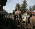Bild: Ahyar Tarmizi/AP/dpa
In den betroffenen Gebieten im Norden Sumatras gibt es stellenweise nur für Elefanten ein Durchkommen.