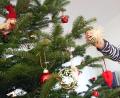 Symbolbild: Bodo Marks/dpa 
Die Lebensdauer eines Christbaums in der Wohnung ist begrenzt: Was kann man tun, dass er möglichst lange durchhält? Händler aus dem Landkreis Tirschenreuth geben Tipps.