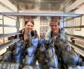Bild: sbö
Nina und Gaby Oberem stellen die Zuckerhasen mit alten Formen aus Metall her.