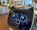 Bild: Petra Hartl
"Bella", ein Service-Roboter, bedient im Konditorei-Café Amelie in Amberg. Der rollende Automat hat einen Katzenkopf, ein Bildschirm-Gesicht und Katzenohren.