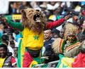 Bild: Mosa'ab Elshamy/AP/dpa
Senegalesische Fans beim Spiel im Afrika Cup gegen den Sudan. Eine Anhängerin kam zuvor bei einem Verkehrsunfall ums Leben.