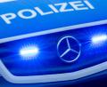 Bild: Jens Büttner/dpa
Im Fußraum des Autos fand die Polizei einen Karton mit den zwei Welpen. (Symbolbild)