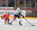 Bild: A. Chuc
Luca Gläser und die Blue Devils Weiden haben das Auswärtsspiel beim EC Bad Nauheim am Freitagabend mit 2:3 in der Overtime verloren. Der Weidener Goldhelm steuerte den zwischenzeitlichen Treffer zum 2:1 bei.