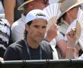 Archivbild: Marijan Murat/dpa
"Unglaubliche Hammer-Story": Der deutsche Ex-Tennisprofi Tommy Haas bringt ein Weidener Start-up mit einem der reichsten Menschen der Welt, dem Oracle-Gründer Larry Ellison zusammen.
