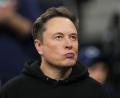 Bild: Matt Rourke/AP/dpa
Elon Musk führt schon länger eine Fehde gegen den ChatGPT-Entwickler OpenAI. (Archivbild)