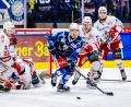 Bild: Tobias Neubert
Tom Schwarz (Mitte) fehlt den Blue Devils Weiden am Sonntag beim Gastspiel bei den Bietigheim Steelers.