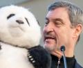 Bild: Peter Kneffel/dpa
Noch hat Söder (r) nur einen Plüschbären in seinem Büro, doch spätestens 2028 soll es echte Tiere in München geben.