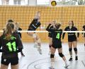 Bild: Hubert Ziegler
Katharina Winkler vom SV Hahnbach beim Schmetterball: Die Hahnbacher U18-Volleyballerinnen wurden bei der Bezirksmeisterschaft Zweiter und qualifizierten sich für die "Nordbayerische".