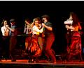 Bild: Good Concert GmbH
Am Donnerstag, 26. Februar, kommt die Irish-Dance-Show „Celtic Rhythms“ in die Stadthalle Marktredwitz.