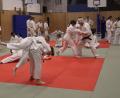 Bild: rn
Die Judo-Abteilung des SC Eschenbach feiert heuer 50-jähriges Bestehen.