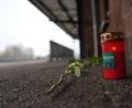 Bild: Patrick von Frankenberg/dpa
An den getöteten Zugbegleiter wird am Bahnhof Landstuhl erinnert.