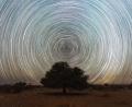 Bild: Martin Sponsel
Auch Startrails hat Martin Sponsel in Namibia fotografiert: Sieht spektakulär aus, ist aber auch etwas, was sogar Astrofoto-Einsteiger ohne spezielle Ausstattung hinbekommen können.