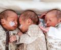 Bild: Konstanze Wutschig-Reetz/Klinkum Bamberg/dpa
Im Klinikum Bamberg hat eine Mutter eineiige Drillinge zur Welt gebracht.
